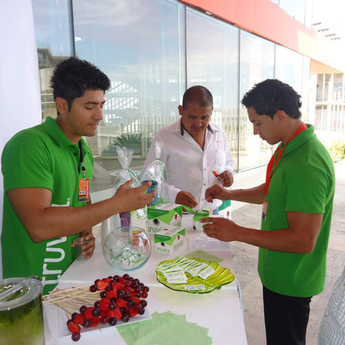 galeria_0011_12